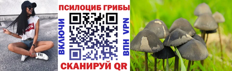 Галлюциногенные грибы Cubensis Коммунар