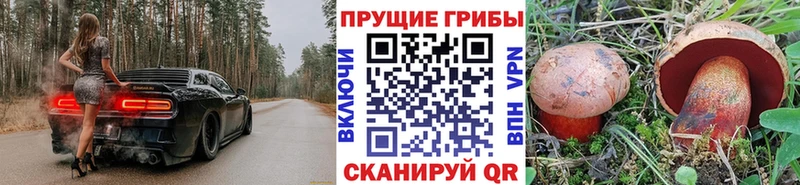 Галлюциногенные грибы ЛСД  дарнет шоп  Коммунар 
